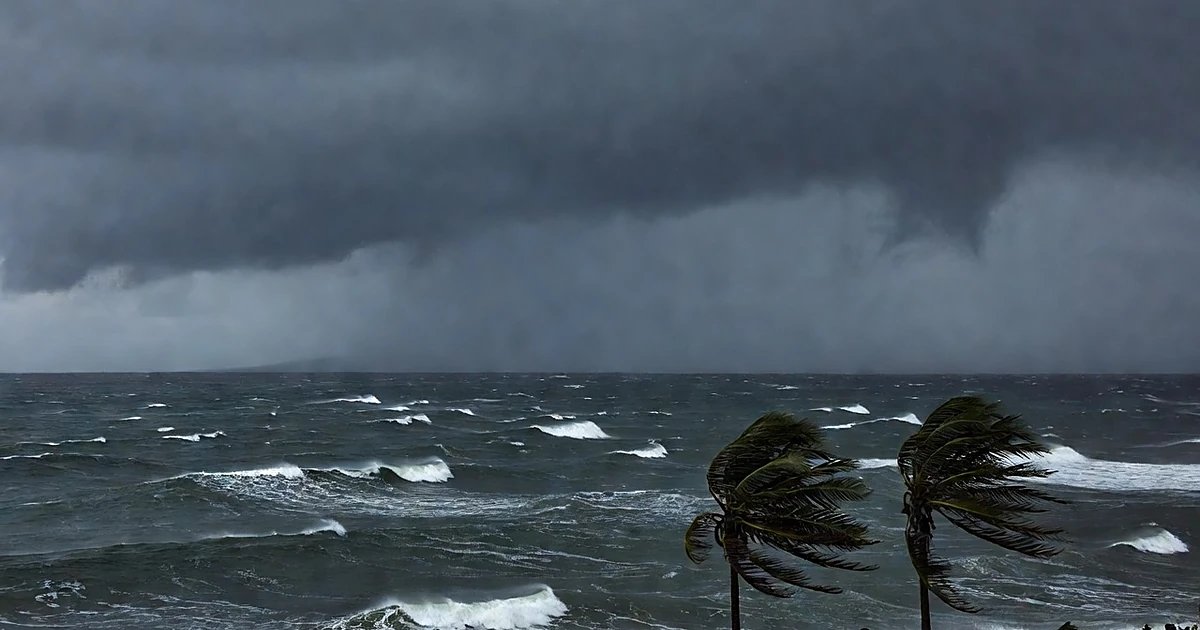 Turbulent Pacific Ocean waters with storm clouds and wind-bent palm trees during tropical storm approach