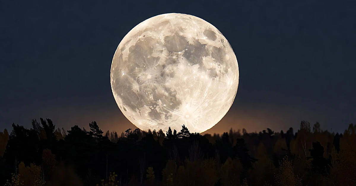Full moon rising above dark treeline silhouette against twilight sky showing detailed lunar surface