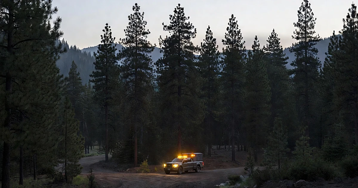 Wildlife management vehicle with flashing lights parked at forest edge in mountainous Idaho terrain at dawn