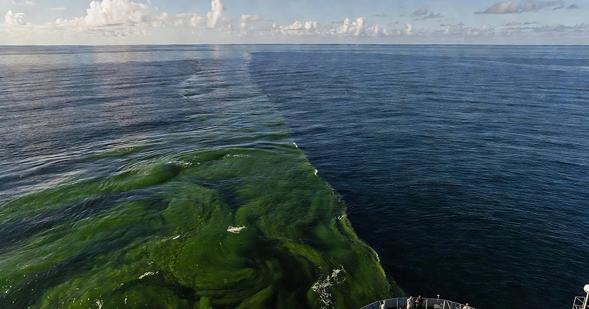 Pacific Ocean showing boundary between green plankton-rich water and deep blue barren water from research vessel