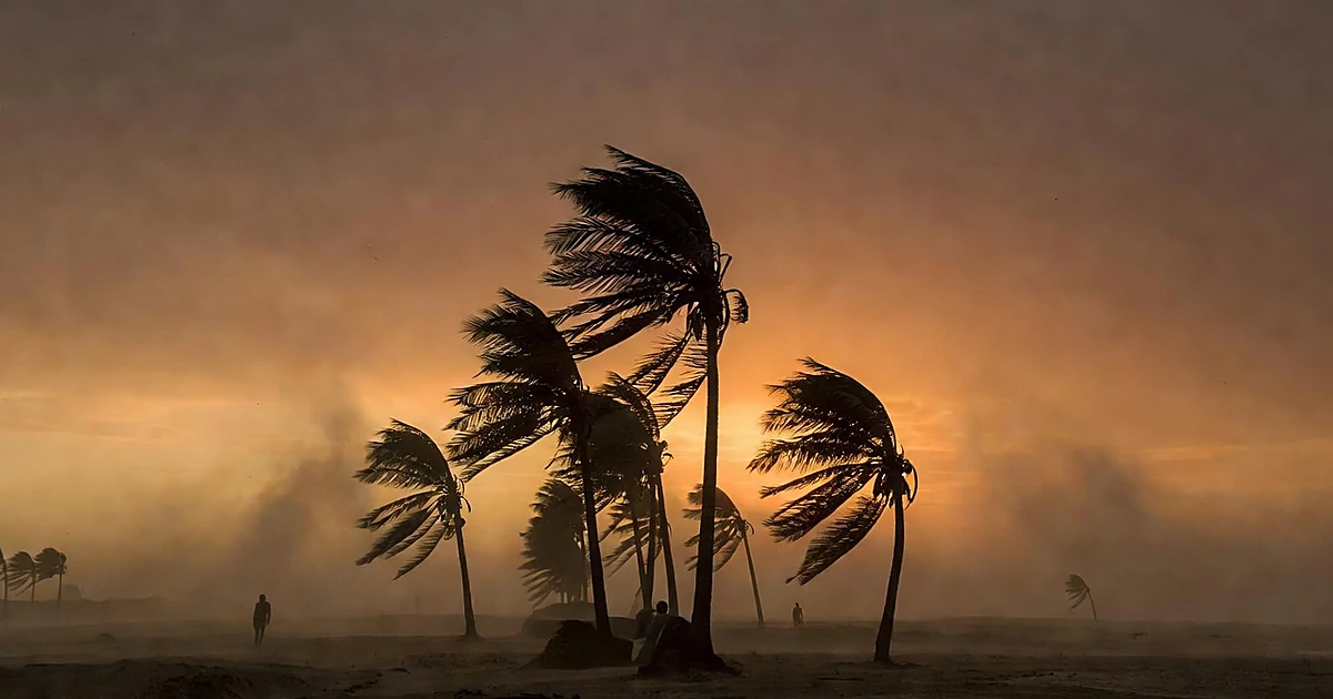 Power lines and wind-bent palm trees silhouetted against orange sky during severe Santa Ana wind conditions